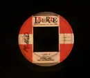 7inch Vinyl Single - Gerry & The Pacemakers - I Like It / It's Happened To Me