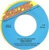 7inch Vinyl Single - Gerry Goffin - It's Not The Spotlight