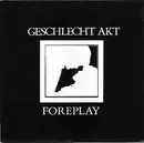 12inch Vinyl Single - Geschlecht Akt - Foreplay