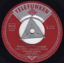 7inch Vinyl Single - Geschwister Hofmann - Hundertmal, Tausendmal / Mein Stilles Heimattal