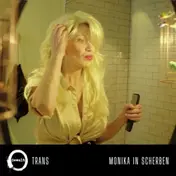 Gewalt - Trans / Monika in Scherben