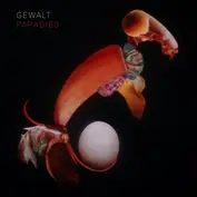 Gewalt