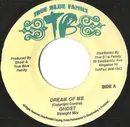 7inch Vinyl Single - Ghost - Dream Of Me