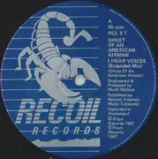 12inch Vinyl Single - Ghost Of An American Airman - I Hear Voices
