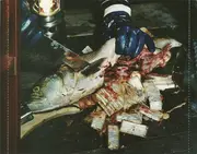 CD - Ghostface Killah - Fishscale