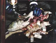 CD - Ghostface Killah - Fishscale