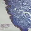 LP & CD - Ghostpoet - Shedding Skin