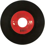 Gin Blossoms - Allison Road
