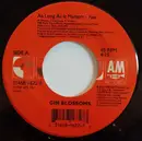 7inch Vinyl Single - Gin Blossoms - As Long As It Matters