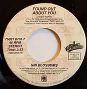 Gin Blossoms - Found About You