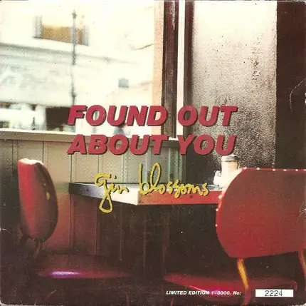 Gin Blossoms - Found Out About You