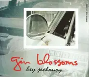 Gin Blossoms - Hey Jealousy