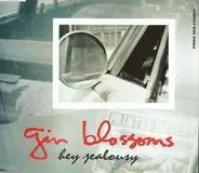 Gin Blossoms - Hey Jealousy