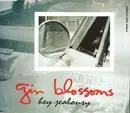 CD Single - Gin Blossoms - Hey Jealousy