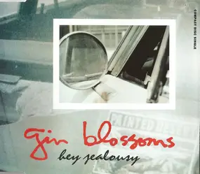 Gin Blossoms - Hey Jealousy