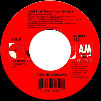 Gin Blossoms - Allison Road
