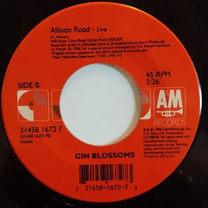 Gin Blossoms - As Long As It Matters