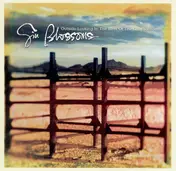 Gin Blossoms - Outside Looking In: The Best Of The Gin Blossoms