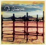 Gin Blossoms - Outside Looking In: The Best Of The Gin Blossoms