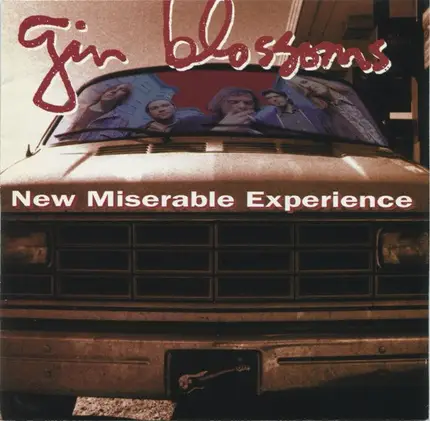 Gin Blossoms - New Miserable Experience
