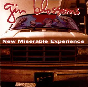 Gin Blossoms - New Miserable Experience