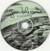 CD - Gin Blossoms - Up And Crumbling - EP