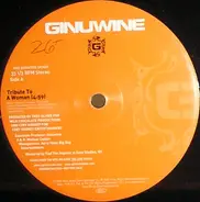 ginuwine - tribute to a woman