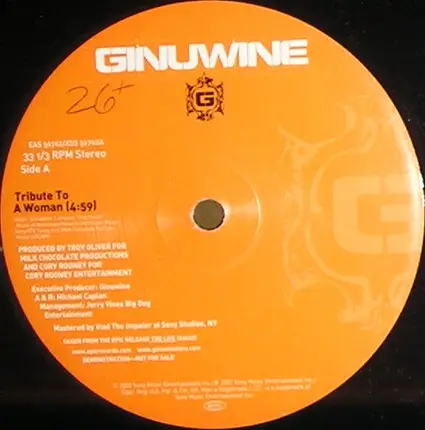 Ginuwine - tribute to a woman