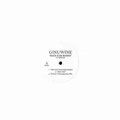 Ginuwine - Back II da Basics