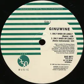 Ginuwine - Only When UR Lonely