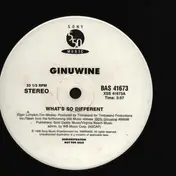 Ginuwine - What's So Different?