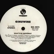 Ginuwine - What's So Different?