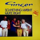 12inch Vinyl Single - Ginger - Something Wasn't Quite Right