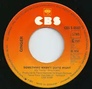 7inch Vinyl Single - Ginger - Something Wasn't Quite Right