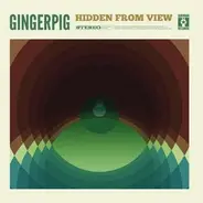 Gingerpig - Hidden from View