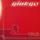 12'' - Ginkgo - A New Life / Paradise
