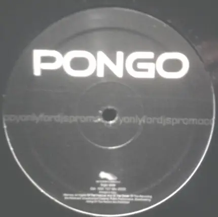 Giorgio Prezioso & Libe - Pongo