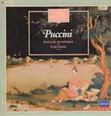 LP - Giacomo Puccini / Coro E Orchestra Dell'Accademia Di Santa Cecilia Dirigent Tullio Serafin / Albert - Grosse Komponisten Und Ihre Musik 57: Puccini - Madame Butterfly / Turandot (Auszüge)