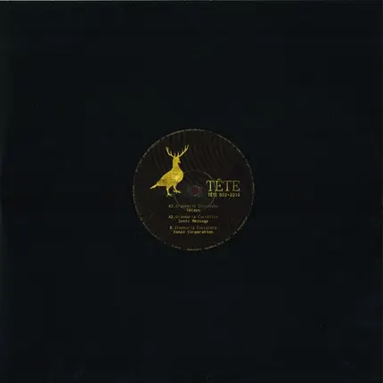 Gianmaria Coccoluto - Dance Corporation