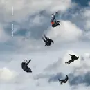 Double LP - Giant Rooks - Rookery