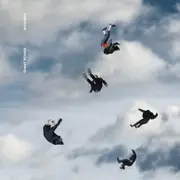 Double LP - Giant Rooks - Rookery