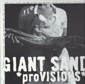 Giant Sand - *proVISIONS*