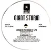 12inch Vinyl Single - Giant Storm - Living On The Edge Of Life / What Do You Want From Me - Promo