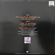Picture Disc - Giant - Stay