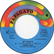 7inch Vinyl Single - Gidea Park Featuring Adrian Baker - Lightning Strikes