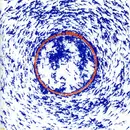 7inch Vinyl Single - Gilded Lil / The Male Nurse - Gilded Lil / The Male Nurse