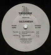 Gilgamesh - Vector Transformation