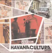 Gilles Peterson - Remixed