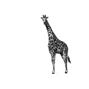 LP - Giraffe - Juni