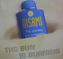 12inch Vinyl Single - Gisami - The Sun Is Burning